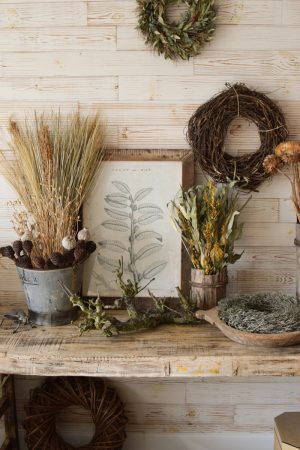 Trockenblumen getrocknet Trockenblumen Naturdeko Kreativ jetzt im Mrs Greenery Shop bestellen kaufe