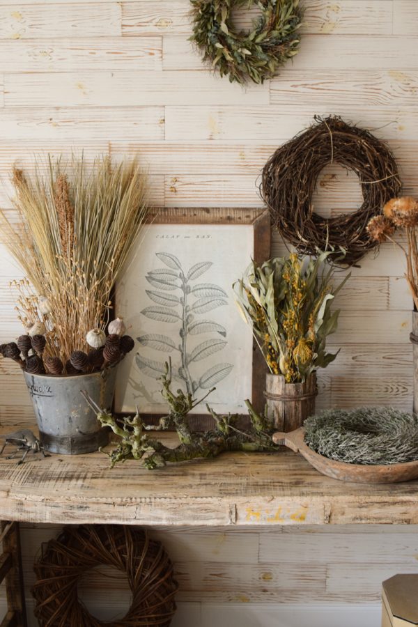 Trockenblumen getrocknet Trockenblumen Naturdeko Kreativ jetzt im Mrs Greenery Shop bestellen kaufe
