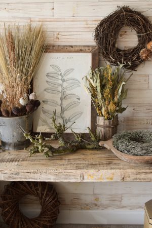 Trockenblumen getrocknet Trockenblumen Naturdeko Kreativ jetzt im Mrs Greenery Shop bestellen kaufe