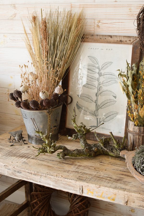 Trockenblumen getrocknet Trockenblumen Naturdeko Kreativ jetzt im Mrs Greenery Shop bestellen kaufe