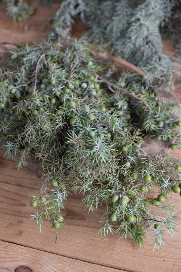 Wacholder frisch Wintergrün frisch Kranzbinden Winterdeko Herbstdeko kreativsein im Mrs Greenery Shop bestellen kaufen