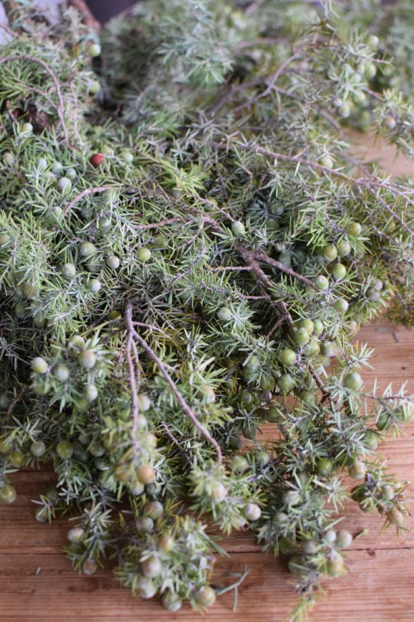 Wacholder frisch Wintergrün frisch Kranzbinden Winterdeko Herbstdeko kreativsein im Mrs Greenery Shop bestellen kaufen