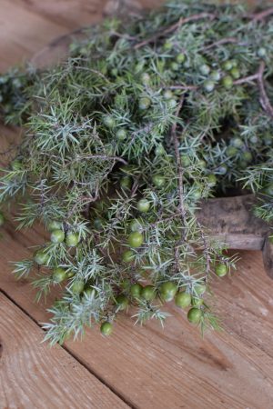 Wacholder frisch Wintergrün frisch Kranzbinden Winterdeko Herbstdeko kreativsein im Mrs Greenery Shop bestellen kaufen