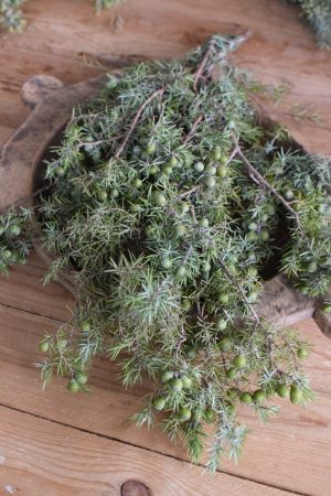 Wacholder frisch Wintergrün frisch Kranzbinden Winterdeko Herbstdeko kreativsein im Mrs Greenery Shop bestellen kaufen
