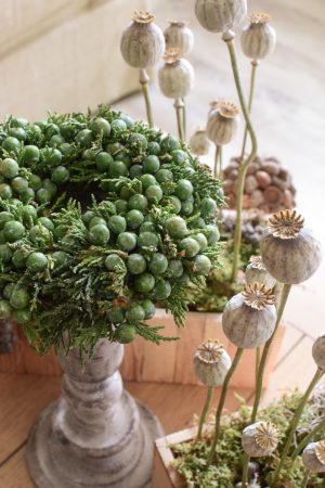 Wacholderkranz mini klein Beerenkranz grün fertig gebunden Fertigkranz Kranz Kränze im Mrs Greenery Shop kaufen bestellen