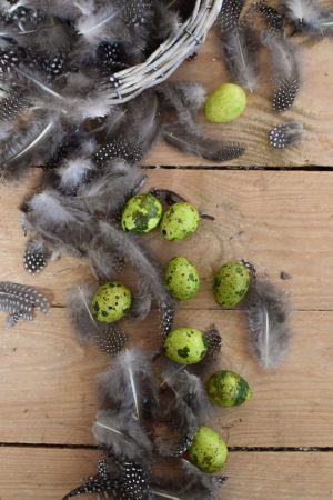 Wachteleier grün Osterdeko Dekoidee Ostern Eier Dekoeie