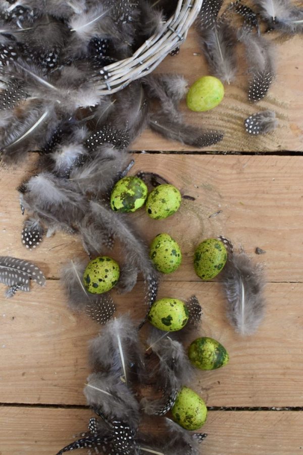 Wachteleier grün Osterdeko Dekoidee Ostern Eier Dekoeie