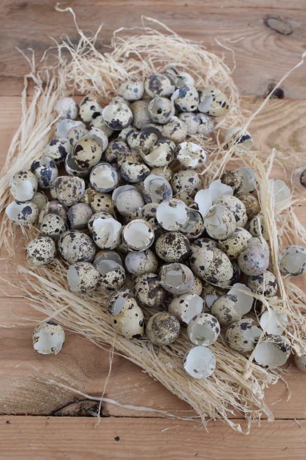 Wachteleier Schlupfschalen Osterdeko Ostereier Deko Dekoideen mit natürlichen Materialien Osterdeko