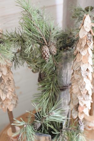 Waldkiefer mit Zapfen Wintergrün Weihnachtsgrün Kreativsein mit Naturmaterialen aus dem Mrs Greenery Shop Kranzbinden Basteln Kreativ