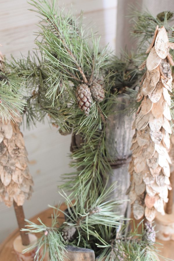 Waldkiefer mit Zapfen Wintergrün Weihnachtsgrün Kreativsein mit Naturmaterialen aus dem Mrs Greenery Shop Kranzbinden Basteln Kreativ