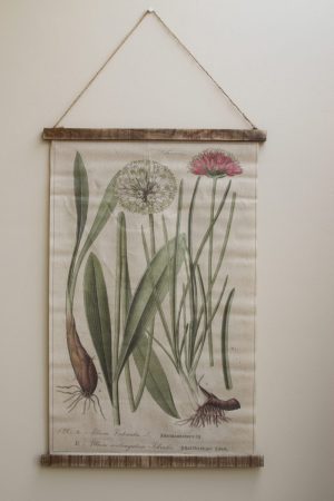 Wandbild Allium Wanddeko botanischer Druck Bild Leinwand Dekoidee Wände Mrs Greenery
