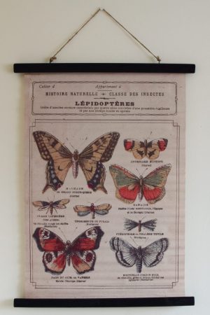 Wandbild Schmetterling Wanddeko botanischer Druck Bild Leinwand Dekoidee Wände Mrs Greenery