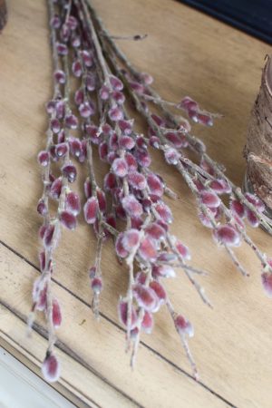 Weidekätzchen Salix pastell rosa pink Frühlingsdeko Osterdeko Kranz Strauß im Mrs Greenery Shop bestellen kaufen