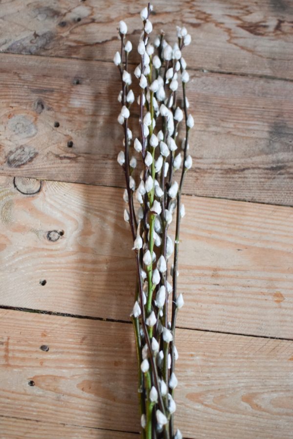 Weidekätzchen frisch Bund Ostern Frühling kreativsein kreativ im Mrs Green