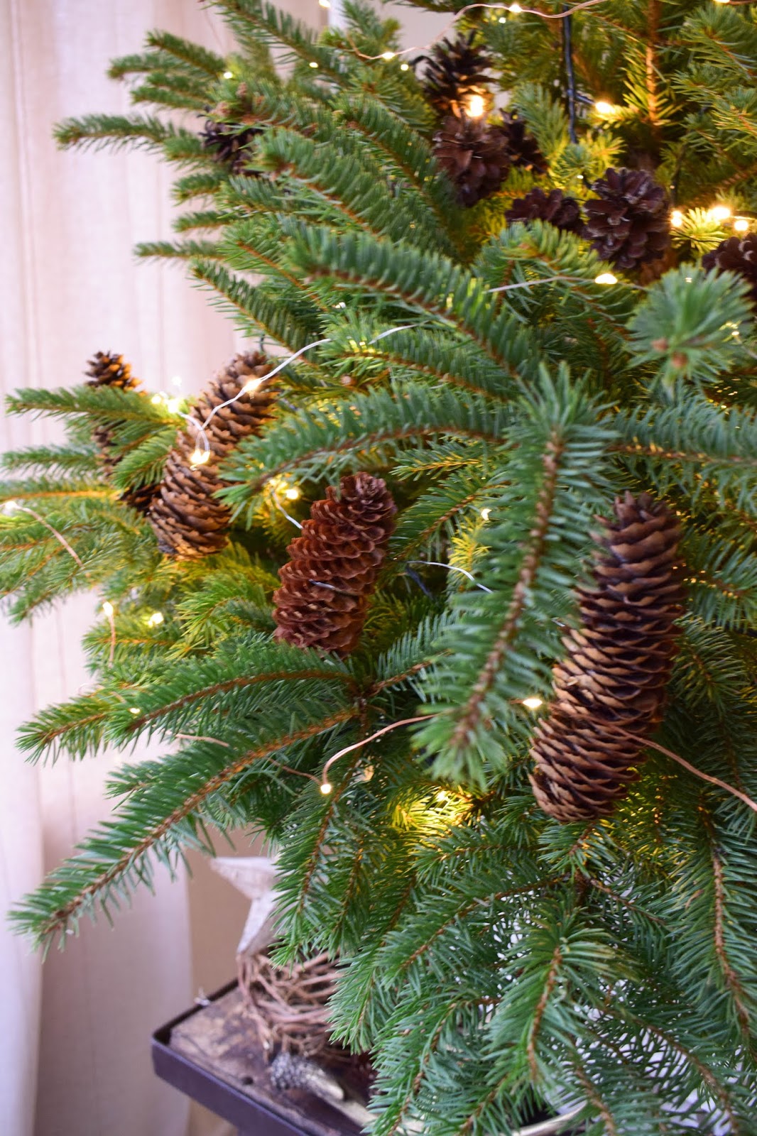 Natürliche Deko für den Weihnachtsbaum: Weihnachtsbaumschmuck basteln! | DIY, Blumen & Naturdeko