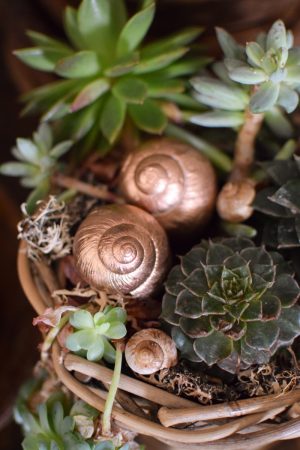 Dekoschnecke Schnecke Schneckenhaus kupfer Naturdeko im Mrs Greenery Shop bestellen kaufen