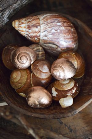 Dekoschnecke Schnecke Schneckenhaus kupfer Naturdeko im Mrs Greenery Shop bestellen kaufen