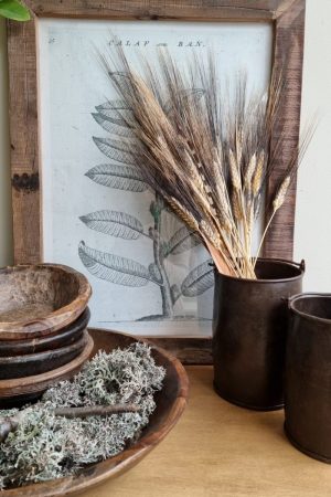 Weizen Gerste schwarz braun gefärbt Trockenblumen getrocknet Naturdeko Sommerdeko im Mrs Greenery Shop bestellen kaufen
