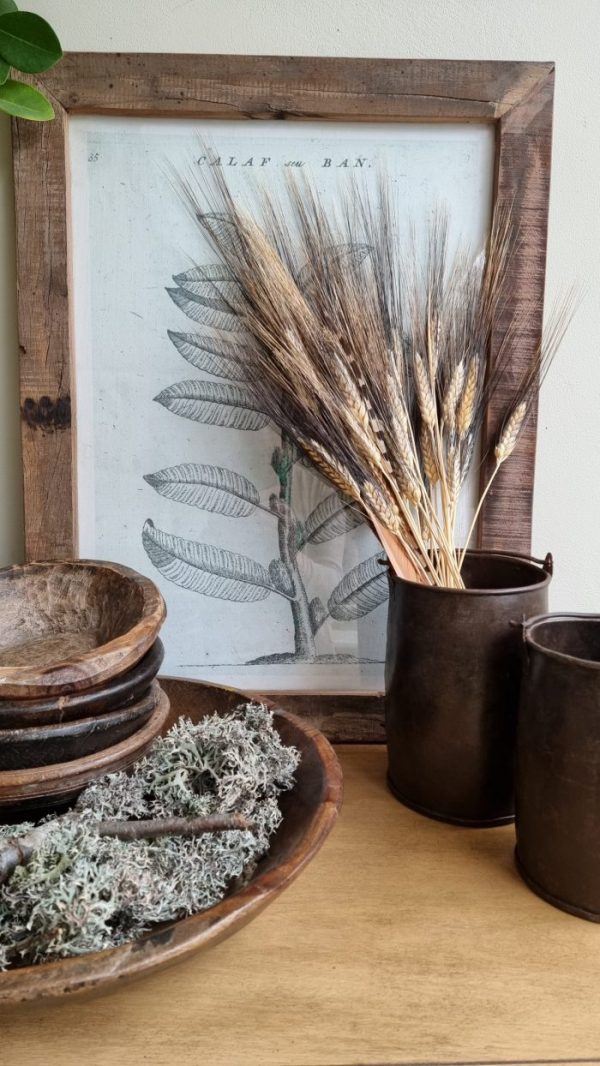 Weizen Gerste schwarz braun gefärbt Trockenblumen getrocknet Naturdeko Sommerdeko im Mrs Greenery Shop bestellen kaufen