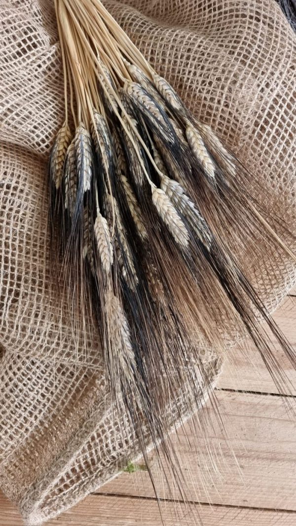 Weizen Gerste schwarz braun gefärbt Trockenblumen getrocknet Naturdeko Sommerdeko im Mrs Greenery Shop bestellen kaufen