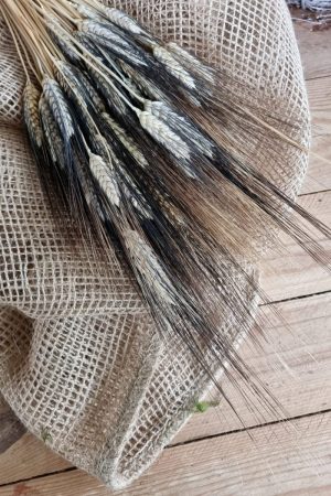 Weizen Gerste schwarz braun gefärbt Trockenblumen getrocknet Naturdeko Sommerdeko im Mrs Greenery Shop bestellen kaufen