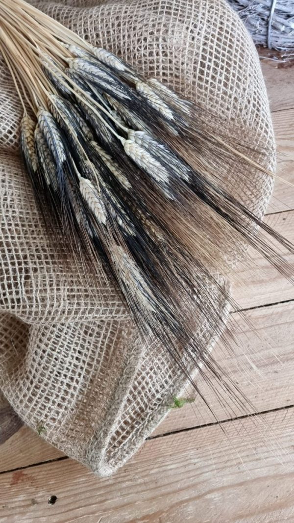 Weizen Gerste schwarz braun gefärbt Trockenblumen getrocknet Naturdeko Sommerdeko im Mrs Greenery Shop bestellen kaufen