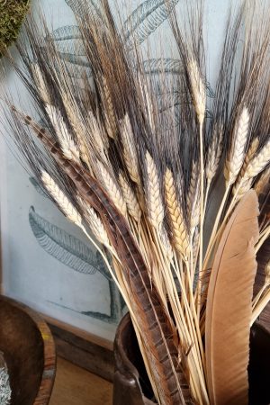 Weizen Gerste schwarz braun gefärbt Trockenblumen getrocknet Naturdeko Sommerdeko im Mrs Greenery Shop bestellen kaufen