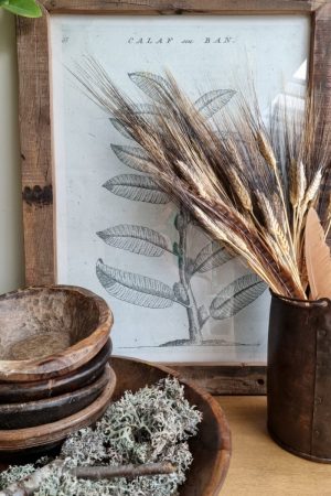 Weizen Gerste schwarz braun gefärbt Trockenblumen getrocknet Naturdeko Sommerdeko im Mrs Greenery Shop bestellen kaufen