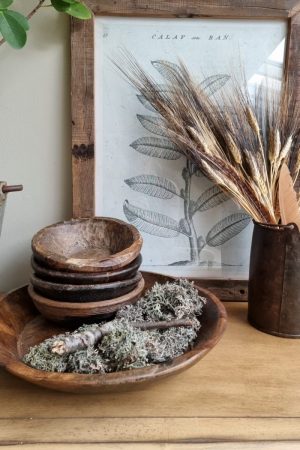 Weizen Gerste schwarz braun gefärbt Trockenblumen getrocknet Naturdeko Sommerdeko im Mrs Greenery Shop bestellen kaufen