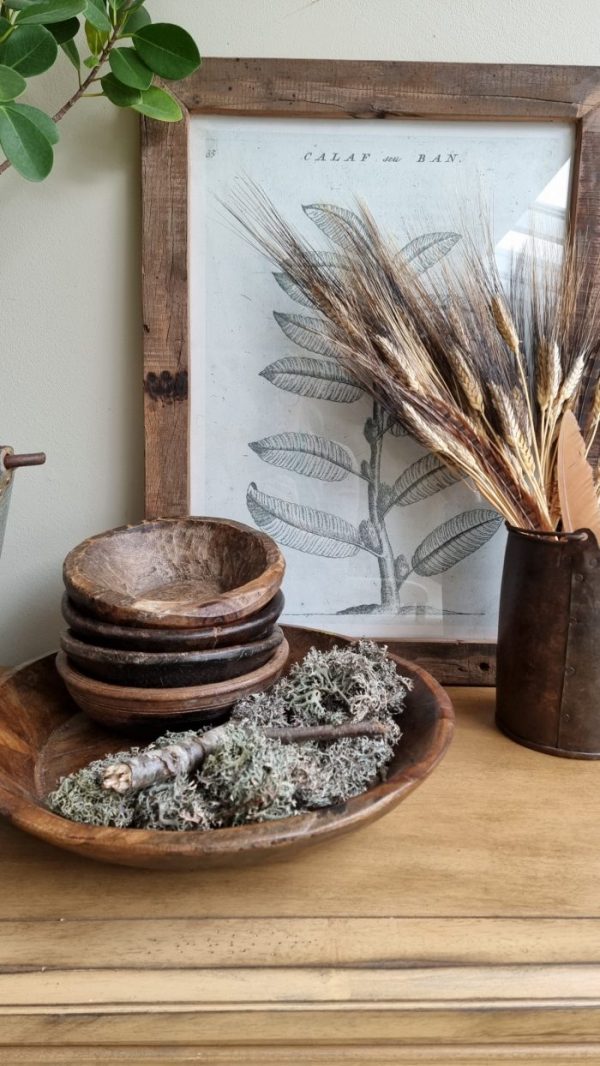 Weizen Gerste schwarz braun gefärbt Trockenblumen getrocknet Naturdeko Sommerdeko im Mrs Greenery Shop bestellen kaufen