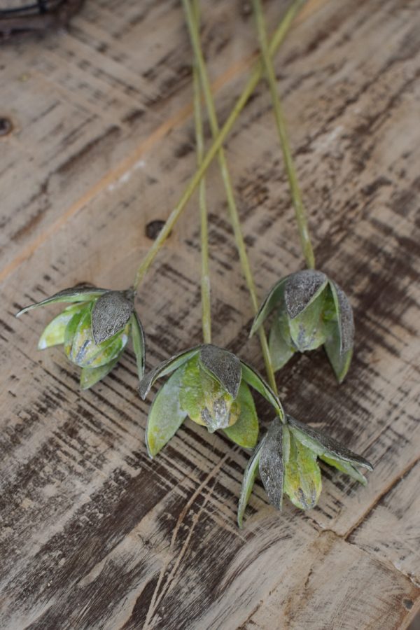 Wildlilie Lilie am Stab getrocknet Trockenblumen im Mrs Greenery Shop bestellen kaufen