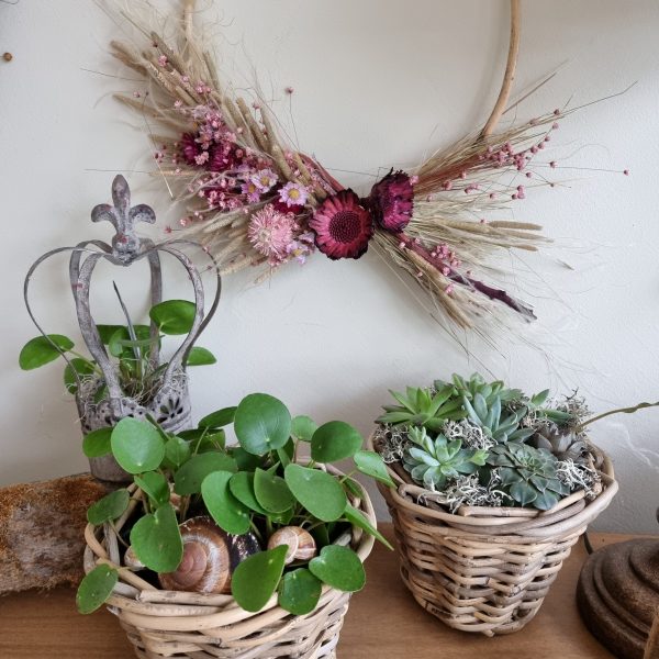 Loop Kranz binden mit Trockenblumen: Online Workshop inkl. Material Kränze selber machen aus getrockneten Blumen. Trockenblumenkranz, Kränze selbermachen Anleitung Loopkranz DIY Selberbinden selbermachen
