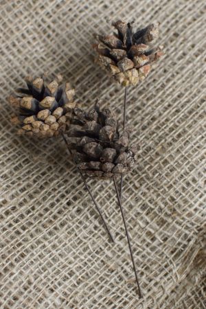 Zapfen mit Draht Dekozapfen Herbst Weihnachten Dekoidee DIY Zapfenstecker Naturdeko