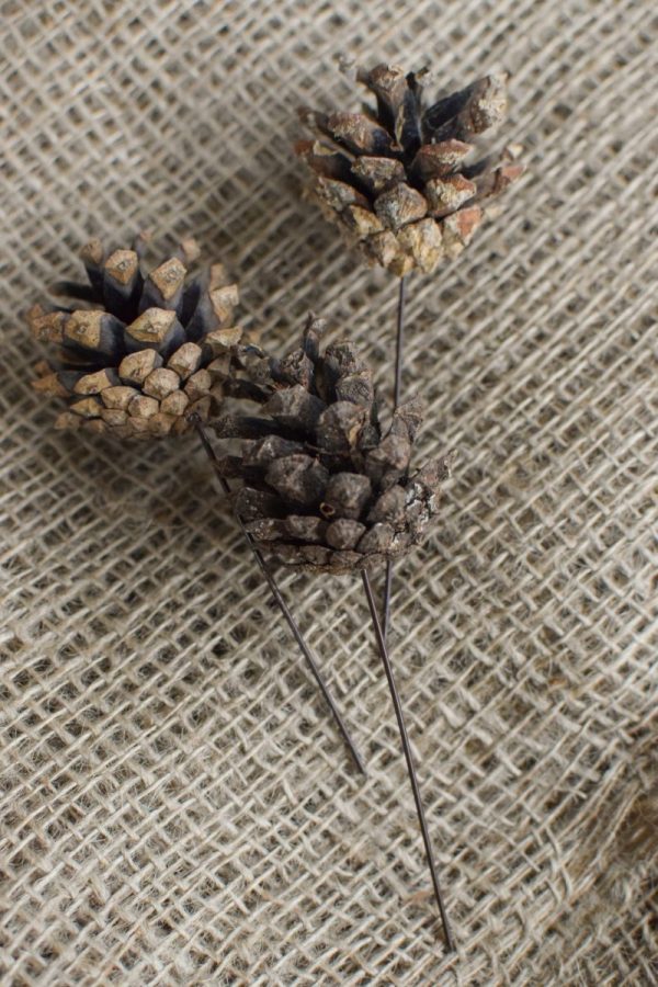 Zapfen mit Draht Dekozapfen Herbst Weihnachten Dekoidee DIY Zapfenstecker Naturdeko