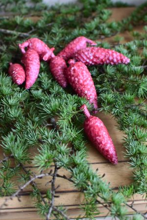 Zapfen weinrot gewachst Weihnachtsdeko Winterdeko Dekoidee Naturdeko Mrs Greenery Shop bestellen kaufen