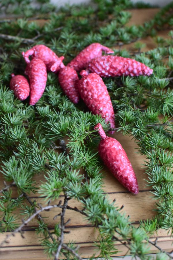 Zapfen weinrot gewachst Weihnachtsdeko Winterdeko Dekoidee Naturdeko Mrs Greenery Shop bestellen kaufen