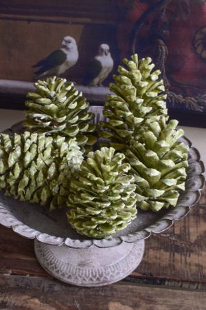 Gewachste Zapfen in grün. Wachszapfen für deine Weihnachtsdeko Weihnachtszapfen Adventszapfen. Weihnachten natürlich dekorieren, Mrs Greenery Shop bestellen