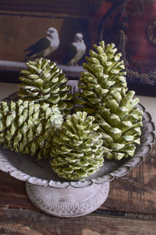 Gewachste Zapfen in grün. Wachszapfen für deine Weihnachtsdeko Weihnachtszapfen Adventszapfen. Weihnachten natürlich dekorieren, Mrs Greenery Shop bestellen