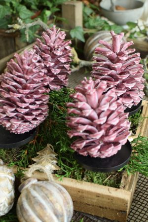Zapfen gewachst Wachszapfen rot burgund Tannenzapfen Weihnachtsdeko Winterdeko im Mrs Greenery Shop bestellen