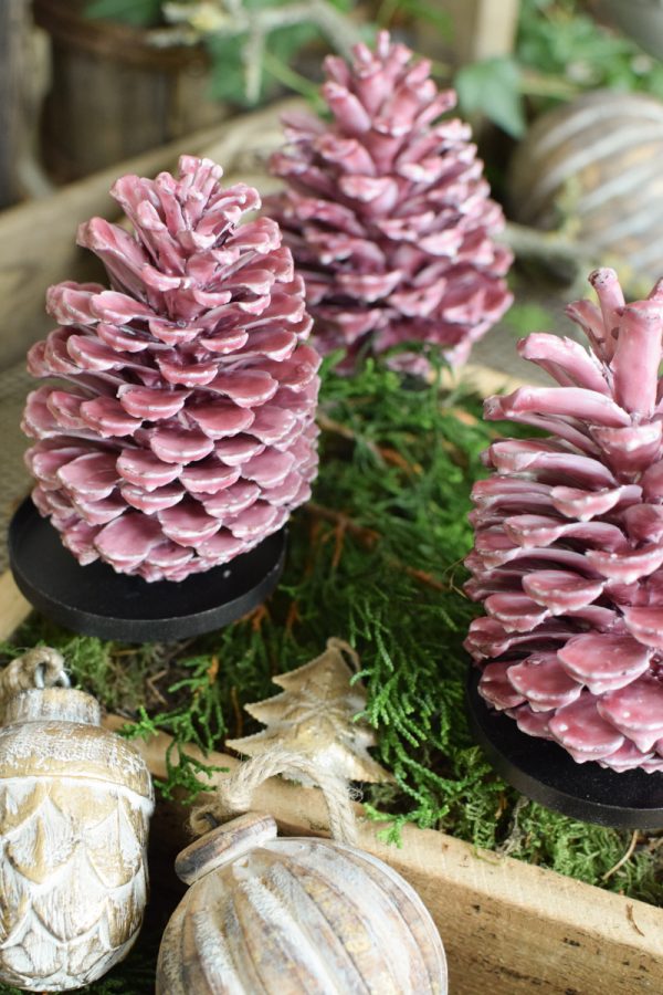 Zapfen gewachst Wachszapfen rot burgund Tannenzapfen Weihnachtsdeko Winterdeko im Mrs Greenery Shop bestellen
