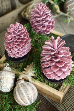 Zapfen gewachst Wachszapfen rot burgund Tannenzapfen Weihnachtsdeko Winterdeko im Mrs Greenery Shop bestellen