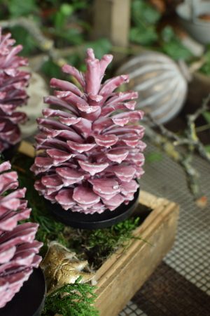 Zapfen gewachst Wachszapfen rot burgund Tannenzapfen Weihnachtsdeko Winterdeko im Mrs Greenery Shop bestellen