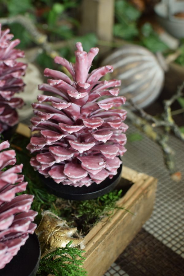 Zapfen gewachst Wachszapfen rot burgund Tannenzapfen Weihnachtsdeko Winterdeko im Mrs Greenery Shop bestellen