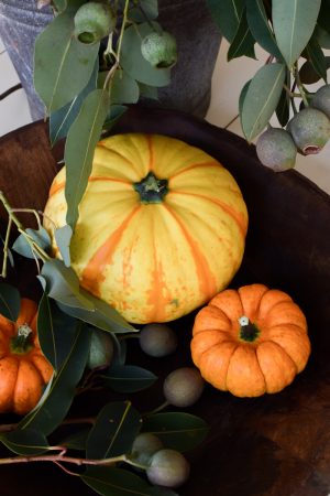 Herbstdeko mit orangen Kürbissen. Der Klassiker der Herbstdeko. Jetzt bestellen! Kürbis