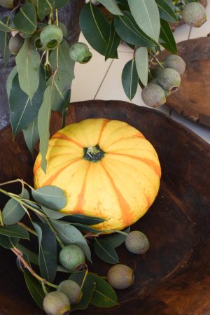 Herbstdeko mit orangen Kürbissen. Der Klassiker der Herbstdeko. Jetzt bestellen! Kürbis