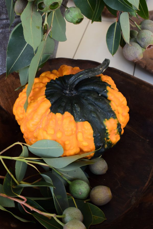 Herbstdeko mit orangen Kürbissen. Der Klassiker der Herbstdeko. Jetzt bestellen! Kürbis