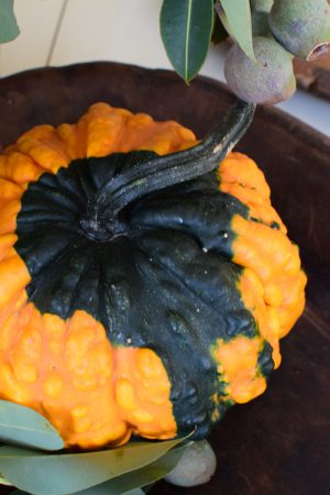 Herbstdeko mit orangen Kürbissen. Der Klassiker der Herbstdeko. Jetzt bestellen! Kürbis