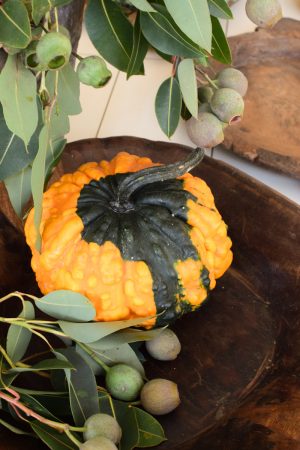 Herbstdeko mit orangen Kürbissen. Der Klassiker der Herbstdeko. Jetzt bestellen! Kürbis