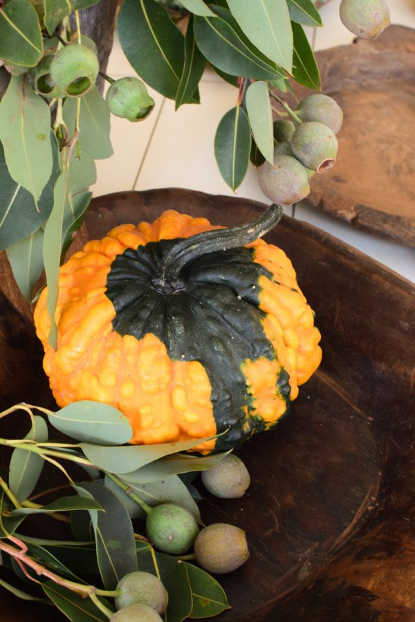 Herbstdeko mit orangen Kürbissen. Der Klassiker der Herbstdeko. Jetzt bestellen! Kürbis