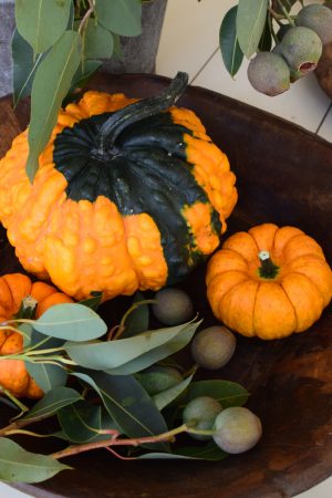 Herbstdeko mit orangen Kürbissen. Der Klassiker der Herbstdeko. Jetzt bestellen! Kürbis